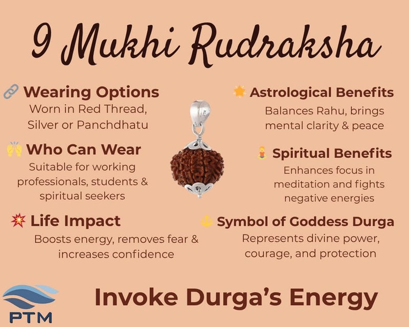 PTM رودراکشا نيبالي أصلي معتمد 1/2/3/4/5/6/7/8/9/10/11/غانش/غوريشانكار موكي، قلادة فضة استرلينية 925 مع علامة BIS للرجال والنساء - Image 3