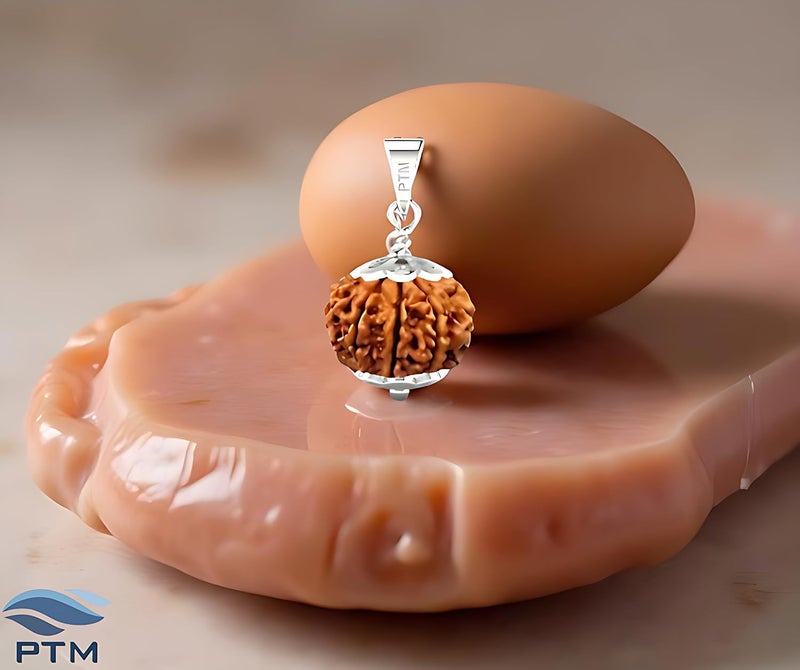 PTM رودراکشا نيبالي أصلي معتمد 1/2/3/4/5/6/7/8/9/10/11/غانش/غوريشانكار موكي، قلادة فضة استرلينية 925 مع علامة BIS للرجال والنساء - Image 2