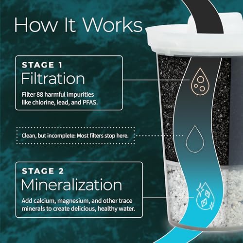 Santevia Single Replacement MINA Alkaline Water Filter by Santevia | Single At Home Water Pitcher Filter Adds Minerals and Makes Alkaline Water | Chlorine and Lead Water Filter | American Filtration Media - Image 4