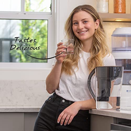 Santevia Single Replacement MINA Alkaline Water Filter by Santevia | Single At Home Water Pitcher Filter Adds Minerals and Makes Alkaline Water | Chlorine and Lead Water Filter | American Filtration Media - Image 3