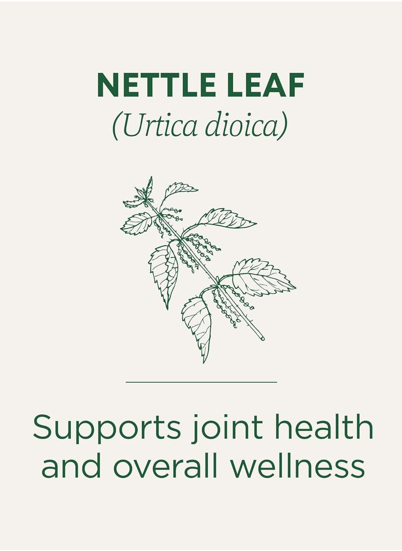 Traditional Pack Of 16 Organic Nettle Leaf Herbal Tea Bag 32g  - Image 2