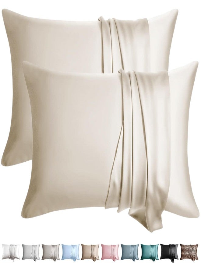 WLOSJ 100% Silk Pillow Cases 2 Pack Queen Size Mulberry Silk Pillowcase for Hair and Skin Set of 2 Highest Grade 6A Silk Soft Breathable Cooling with Hidden Zipper, Beige - Image 1