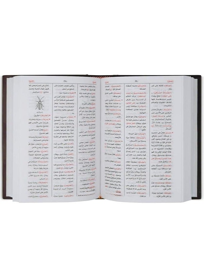 المؤلف يوسف بكوش المعجم الوجيز للطلاب - Image 4