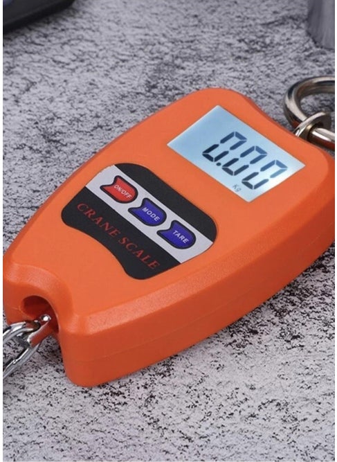 200 kg Crane Scale with Hanger Hook