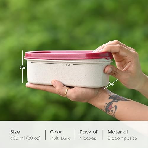 Eha Earth Friendly Storage Containers For Kitchen With Lid | Kitchen Containers Set of 4 | 600 ml | Made with Rice Husk | Microwave Safe & Fridge Storage Boxes | Storage Box For Kitchen | Multi-Light - Image 2