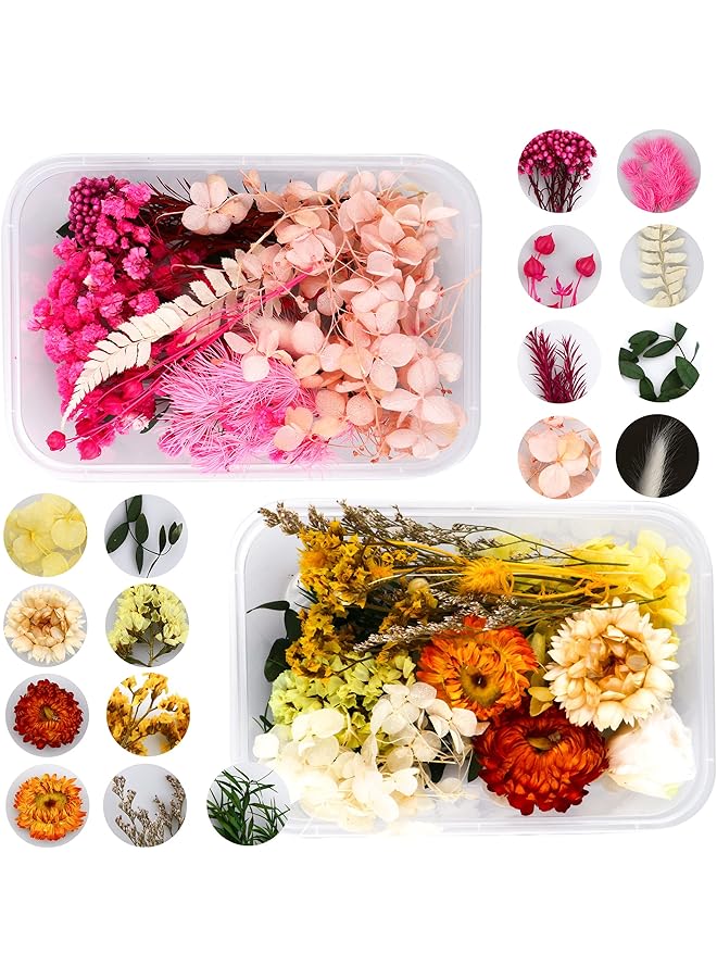 The Bros Natural Real Dried Flower Combination,2 Boxes Mixed Multiple Assorted Dried Flower Material Package for Handmade Crafts DIY Accessories Home Decoration Filling Materials - Image 1