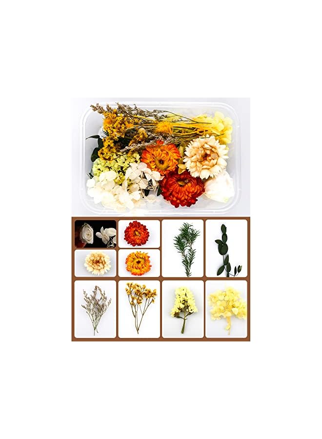 The Bros Natural Real Dried Flower Combination,2 Boxes Mixed Multiple Assorted Dried Flower Material Package for Handmade Crafts DIY Accessories Home Decoration Filling Materials - Image 2