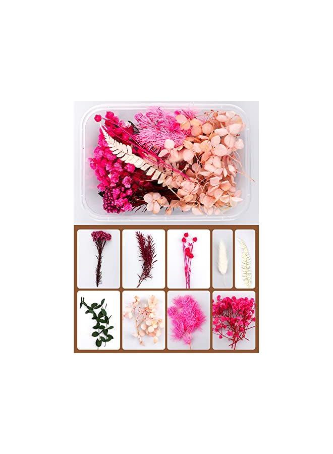 The Bros Natural Real Dried Flower Combination,2 Boxes Mixed Multiple Assorted Dried Flower Material Package for Handmade Crafts DIY Accessories Home Decoration Filling Materials - Image 3