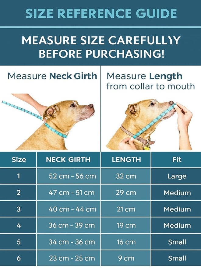 Berlin's PET ACCESSORIES Berlin's Soft Protective Pet Recovery Collar Comfortable Dog and Cat Cone Alternative Lightweight Adjustable Elizabethan Collar for Surgery Wounds Healing and Grooming (White, 6 No.Neck 23-25cm) - Image 2