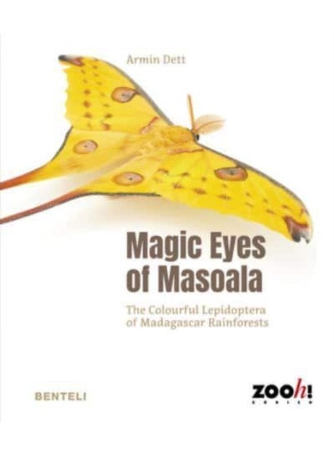Magic Eyes of Masoala The Colourful Lepidoptera of Madagascar Rainforests - Hardback