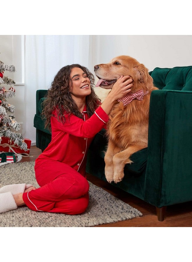 Milk-Bone Limited Edition Holiday Dog Treats, Small Biscuits, 24 Ounce Reusable Tin - Image 3