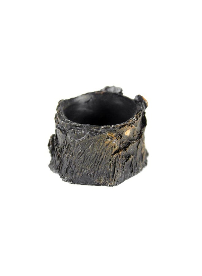 وعاء طعام وماء للزواحف، طبق راتنجي، حوض حيوانات أليفة، سلحفاة، أبو بريص - NS-84 - Image 4