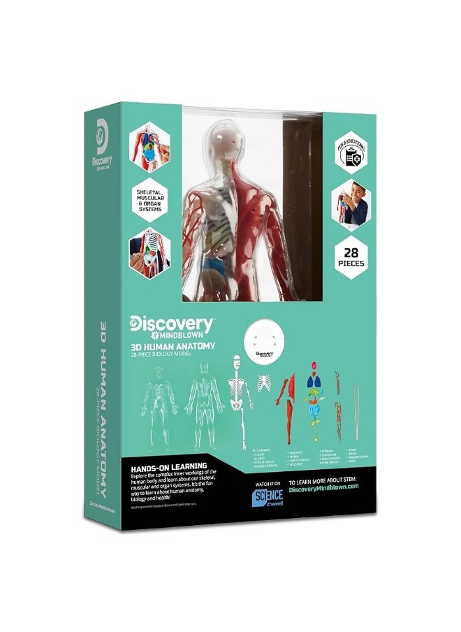 Discovery Kids - Discoveryâ„¢ #Mindblown 3D Human Anatomy 28-Piece Biology Model with Glow-in-The-Dark Human Model, Hands on Learning, Age 8+ - Image 1
