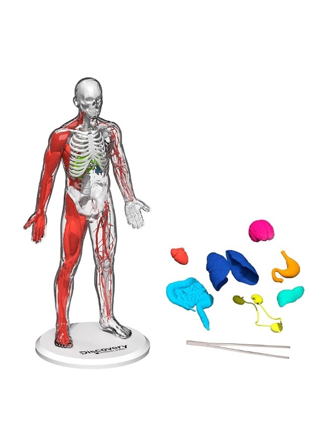 Discovery Kids - Discoveryâ„¢ #Mindblown 3D Human Anatomy 28-Piece Biology Model with Glow-in-The-Dark Human Model, Hands on Learning, Age 8+ - Image 1
