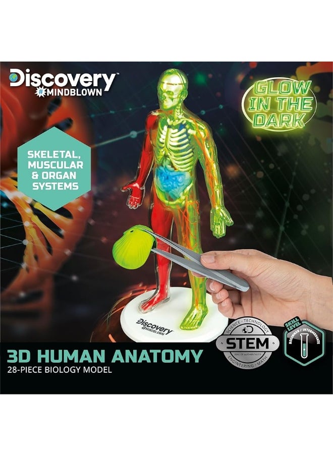 Discovery Kids - Discoveryâ„¢ #Mindblown 3D Human Anatomy 28-Piece Biology Model with Glow-in-The-Dark Human Model, Hands on Learning, Age 8+ - Image 1