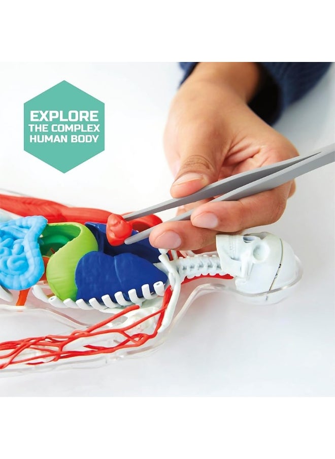 Discovery Kids - Discoveryâ„¢ #Mindblown 3D Human Anatomy 28-Piece Biology Model with Glow-in-The-Dark Human Model, Hands on Learning, Age 8+ - Image 1