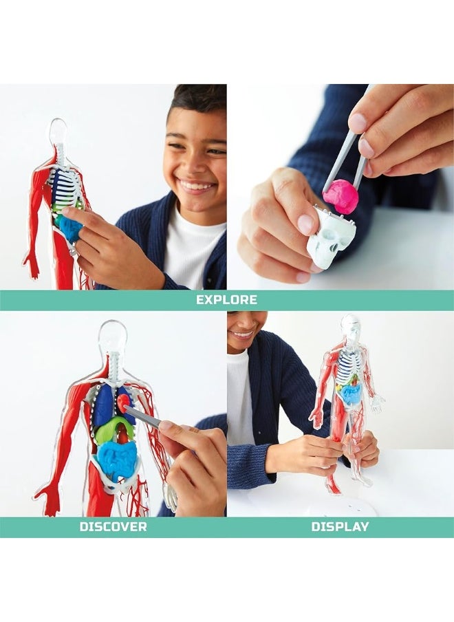Discovery Kids - Discoveryâ„¢ #Mindblown 3D Human Anatomy 28-Piece Biology Model with Glow-in-The-Dark Human Model, Hands on Learning, Age 8+ - Image 1