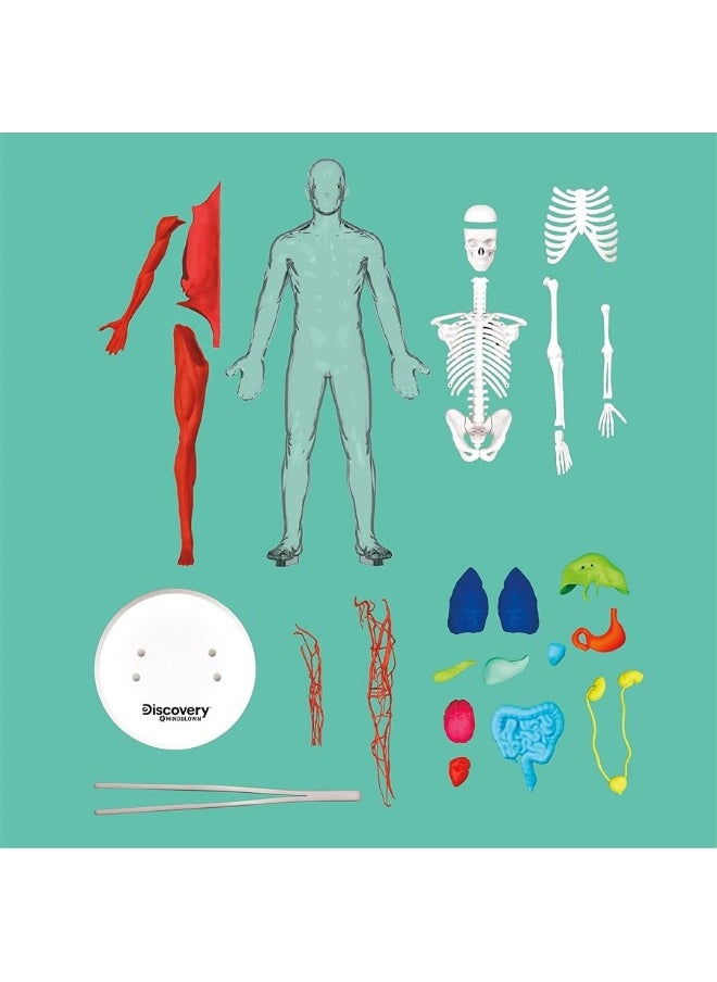 Discovery Kids - Discoveryâ„¢ #Mindblown 3D Human Anatomy 28-Piece Biology Model with Glow-in-The-Dark Human Model, Hands on Learning, Age 8+ - Image 1