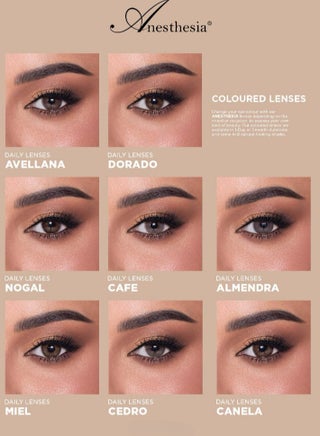 Anesthesia Once Cafe Daily Colored Contact Lenses - view 5