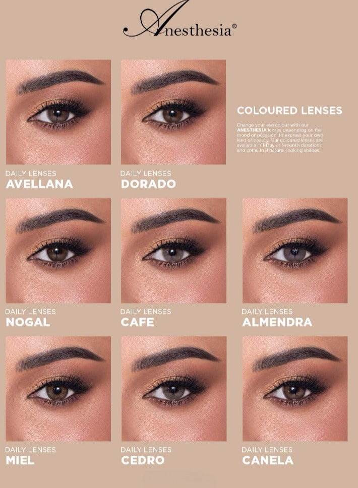 أنستازيا عدسات أنستازيا وانس اللاصقة الملونة اليومية -كافيه - Image 5