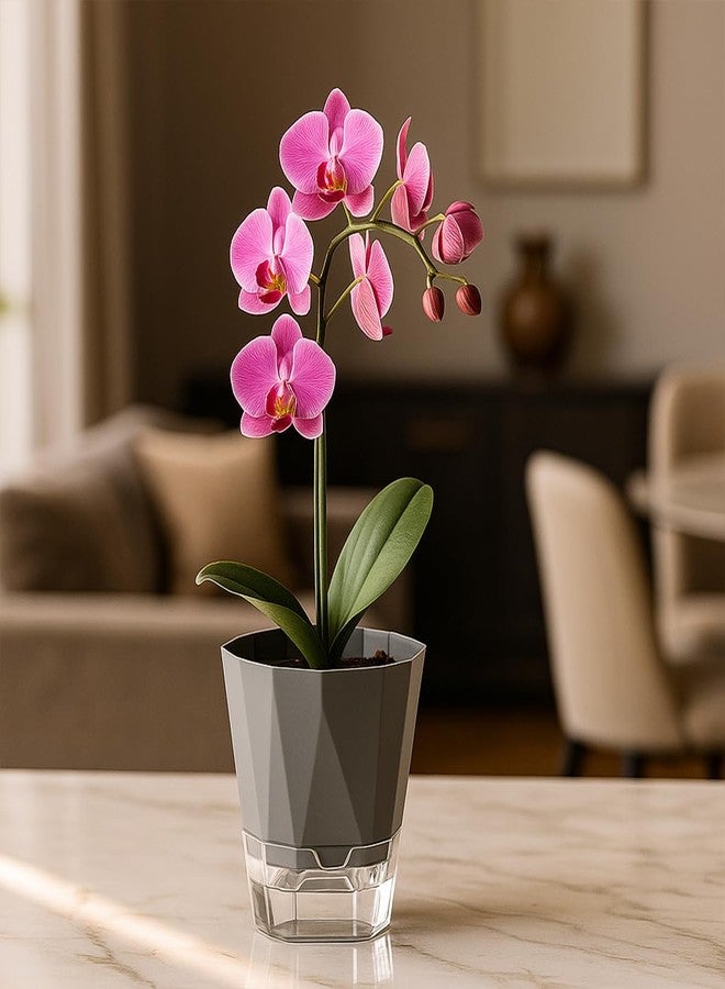 Planterhoma 6 Pack Self Watering Plant Pots 5 Inches for Indoor and Outdoor Plants - African Violet, Herb, Orchid, Flower Houseplant Planters, Clear Pots, Dark Grey - Image 2