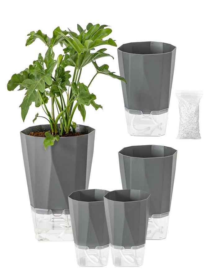 Planterhoma 6 Pack Self Watering Plant Pots 5 Inches for Indoor and Outdoor Plants - African Violet, Herb, Orchid, Flower Houseplant Planters, Clear Pots, Dark Grey - Image 1