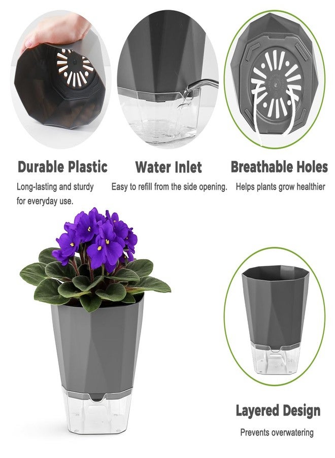 Planterhoma 6 Pack Self Watering Plant Pots 5 Inches for Indoor and Outdoor Plants - African Violet, Herb, Orchid, Flower Houseplant Planters, Clear Pots, Dark Grey - Image 3