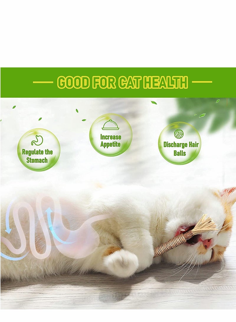 Cat Stick, Cleaning Sticks, Cat Teeth Cleaning, Cat Chew Toys And Kitten Teething Chew Toys, Indoor Cat Toys Interact To Improve Digestion (3PCS)