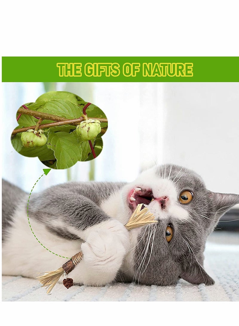 Cat Stick, Cleaning Sticks, Cat Teeth Cleaning, Cat Chew Toys And Kitten Teething Chew Toys, Indoor Cat Toys Interact To Improve Digestion (3PCS)