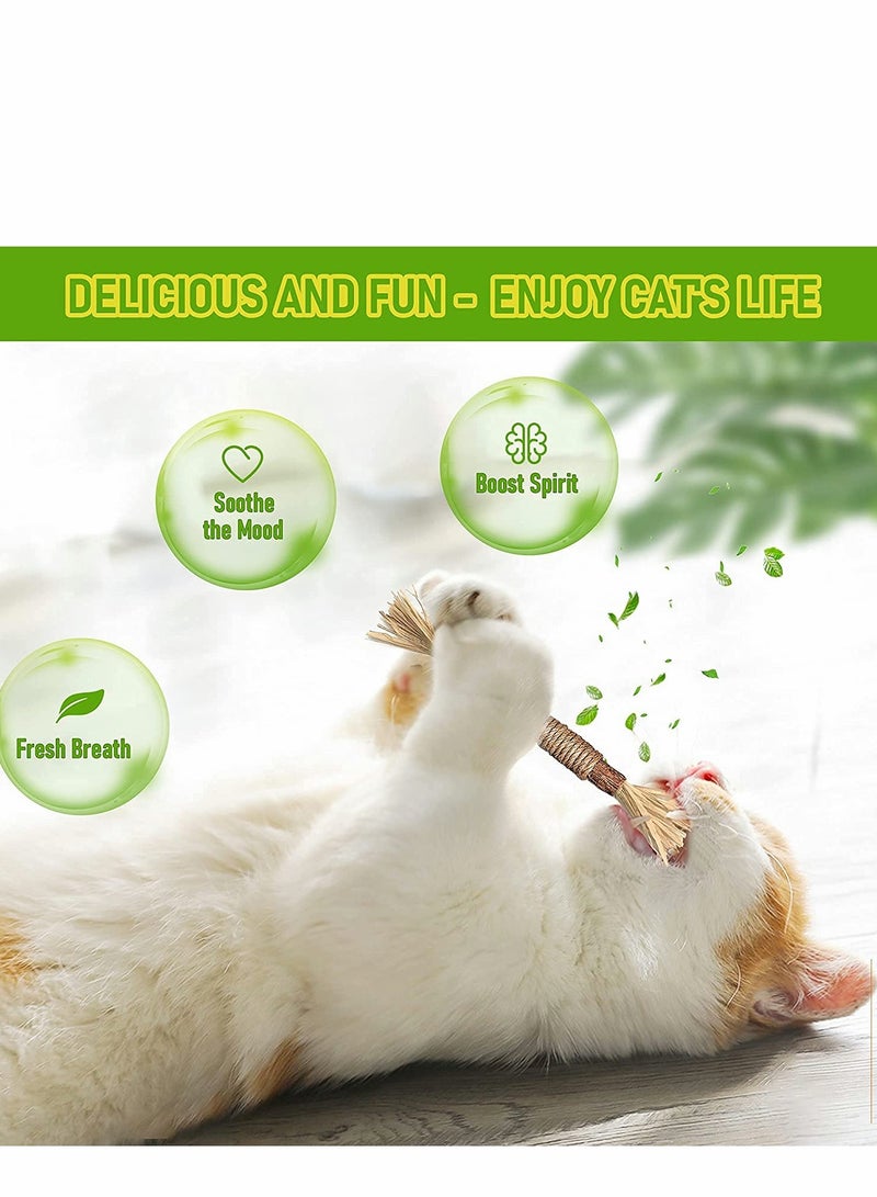 Cat Stick, Cleaning Sticks, Cat Teeth Cleaning, Cat Chew Toys And Kitten Teething Chew Toys, Indoor Cat Toys Interact To Improve Digestion (3PCS)