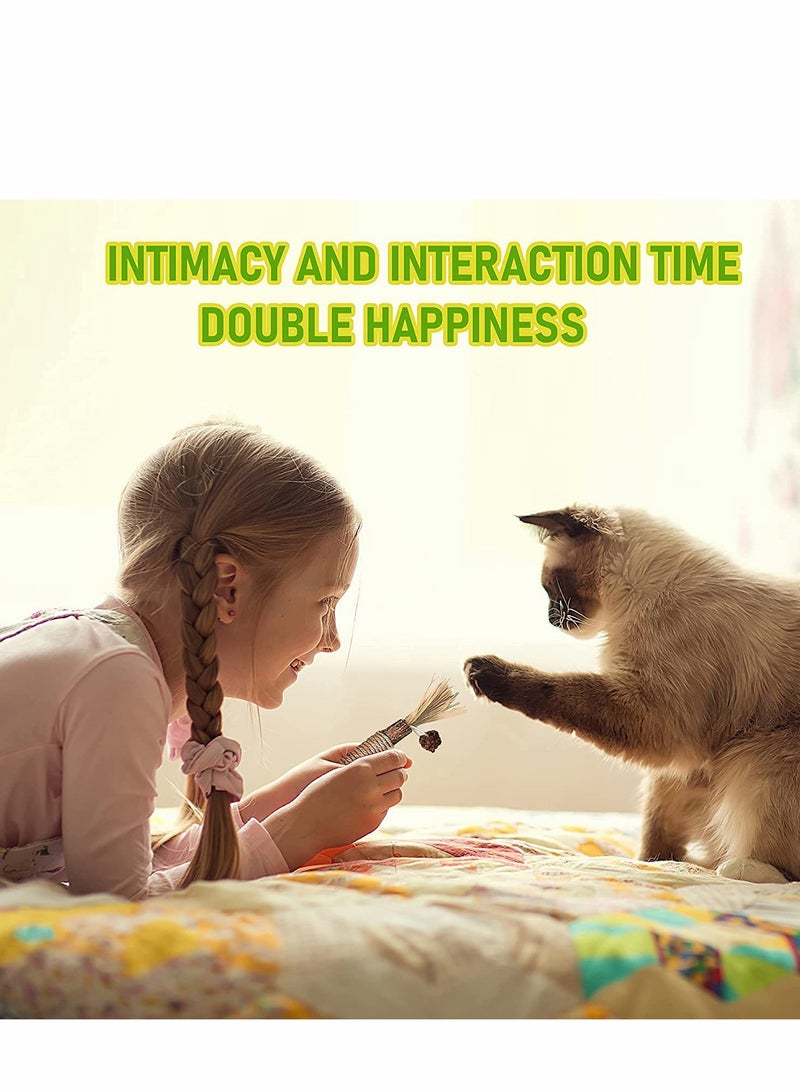 Cat Stick, Cleaning Sticks, Cat Teeth Cleaning, Cat Chew Toys And Kitten Teething Chew Toys, Indoor Cat Toys Interact To Improve Digestion (3PCS)
