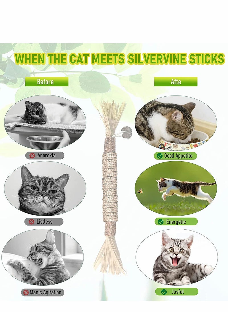 Cat Stick, Cleaning Sticks, Cat Teeth Cleaning, Cat Chew Toys And Kitten Teething Chew Toys, Indoor Cat Toys Interact To Improve Digestion (3PCS)