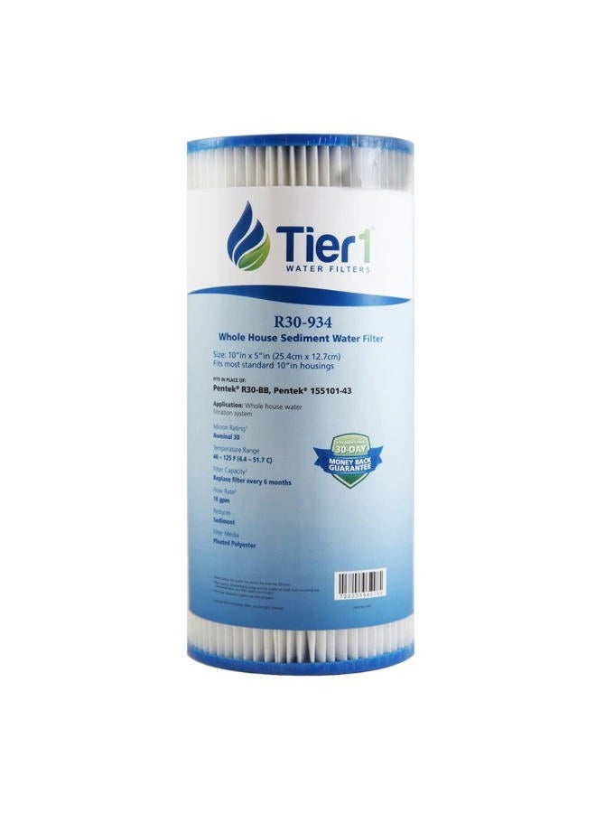 Tier1 30 Micron 10 Inch x 4.5 Inch | Pleated Polyester Whole House Sediment Water Filter Replacement Cartridge | Compatible with Pentek R30-BB, 155101-43, RS6, SPC-45-1030, Home Water Filter - Image 1