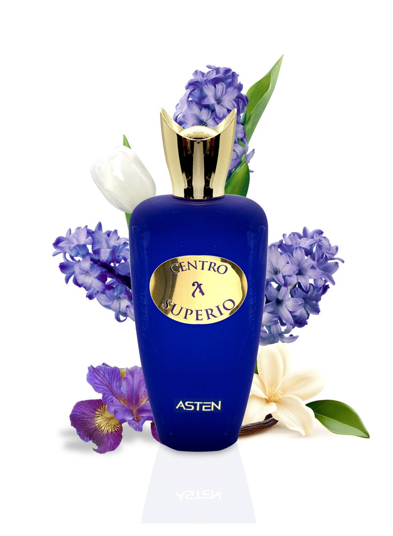 استين أستن سنترو سوبيريو 100 مل أو دي بارفان. - Image 1