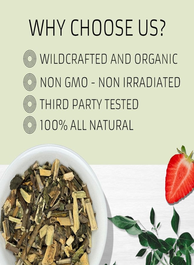 Evergreen Herbs Muicle Tea Bags (Justicia spicigera) - 20 Bags, Wildcrafted Mexican Honeysuckle Herbs for Tea, Decoctions or Tinctures, Traditional Botanical Herb - Image 5