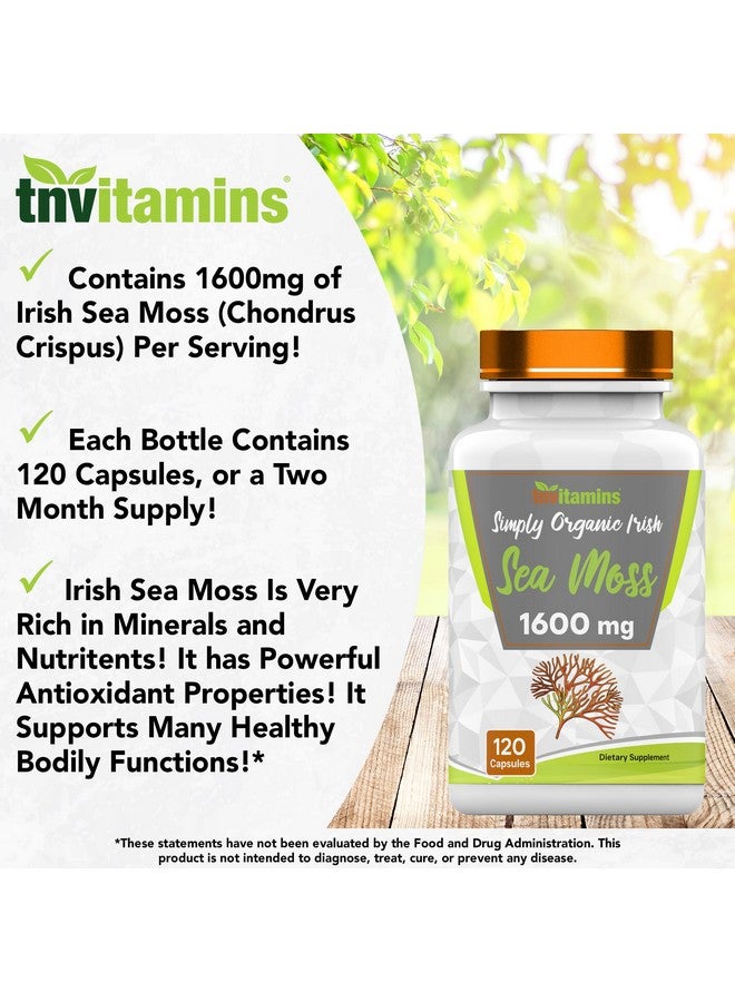 tnvitamins Organic Irish Sea Moss: 1600mg - 120 Capsules | Two Month Supplt Simply Organic Sea Moss Powder Capsules are Highly Potent, and Absorbable! | Non-GMO | Made in The USA! - Image 3