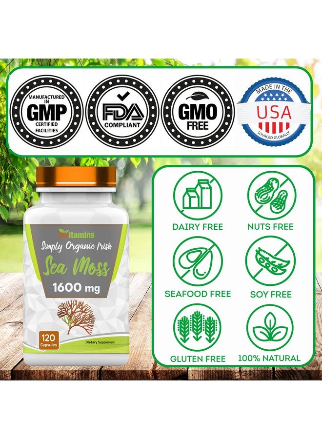 tnvitamins Organic Irish Sea Moss: 1600mg - 120 Capsules | Two Month Supplt Simply Organic Sea Moss Powder Capsules are Highly Potent, and Absorbable! | Non-GMO | Made in The USA! - Image 5