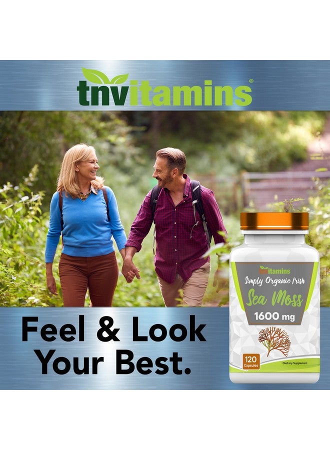 tnvitamins Organic Irish Sea Moss: 1600mg - 120 Capsules | Two Month Supplt Simply Organic Sea Moss Powder Capsules are Highly Potent, and Absorbable! | Non-GMO | Made in The USA! - Image 4