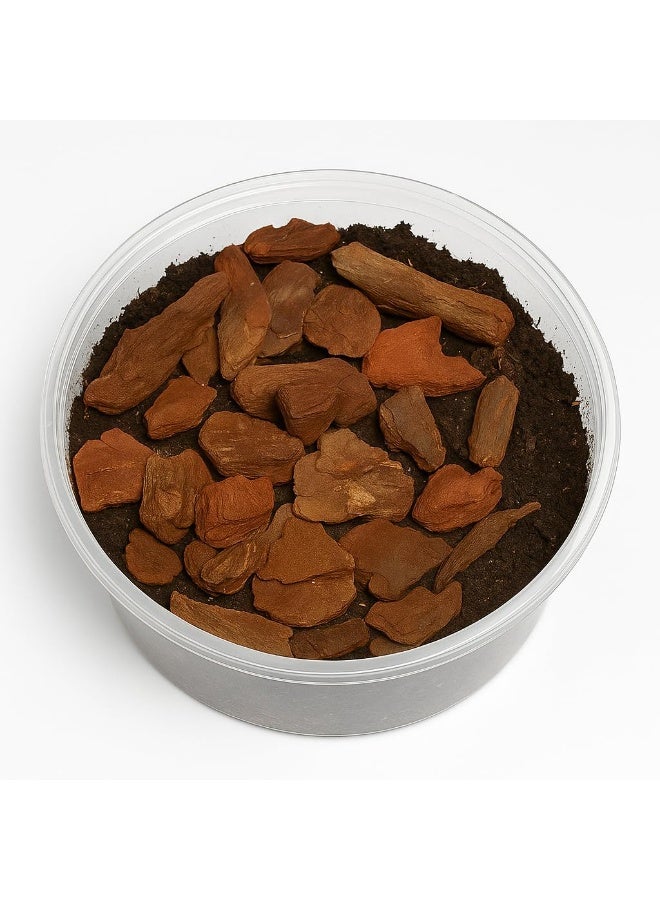 WALMOH 100% Natural Wooden Soil Topper – Premium Wood Chip Mulch for Moisture Retention, Weed Suppression, Soil Insulation & Garden Health, Ideal for Plants, Raised Beds & Flower Beds, 500 grams - Image 5