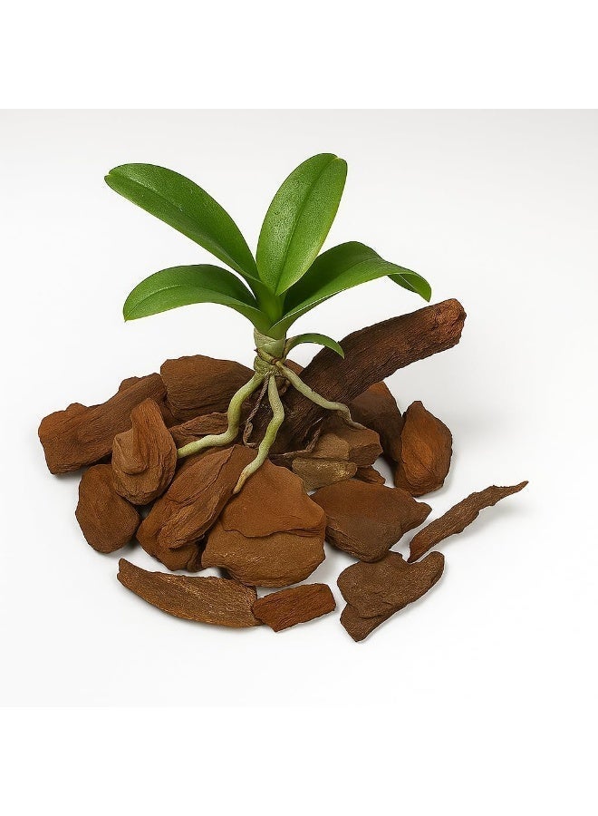 WALMOH 100% Natural Wooden Soil Topper – Premium Wood Chip Mulch for Moisture Retention, Weed Suppression, Soil Insulation & Garden Health, Ideal for Plants, Raised Beds & Flower Beds, 500 grams - Image 3