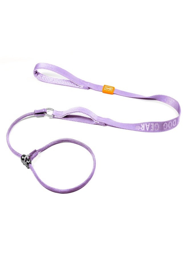 Howgo Dog Slip Lead Dog Leash, Training Leash, No-Pull Lightweight Slip Lead and Collar, Heavy Duty & Durable, Padded Handle, for All Breeds (Lavender, 5FT) - Image 1