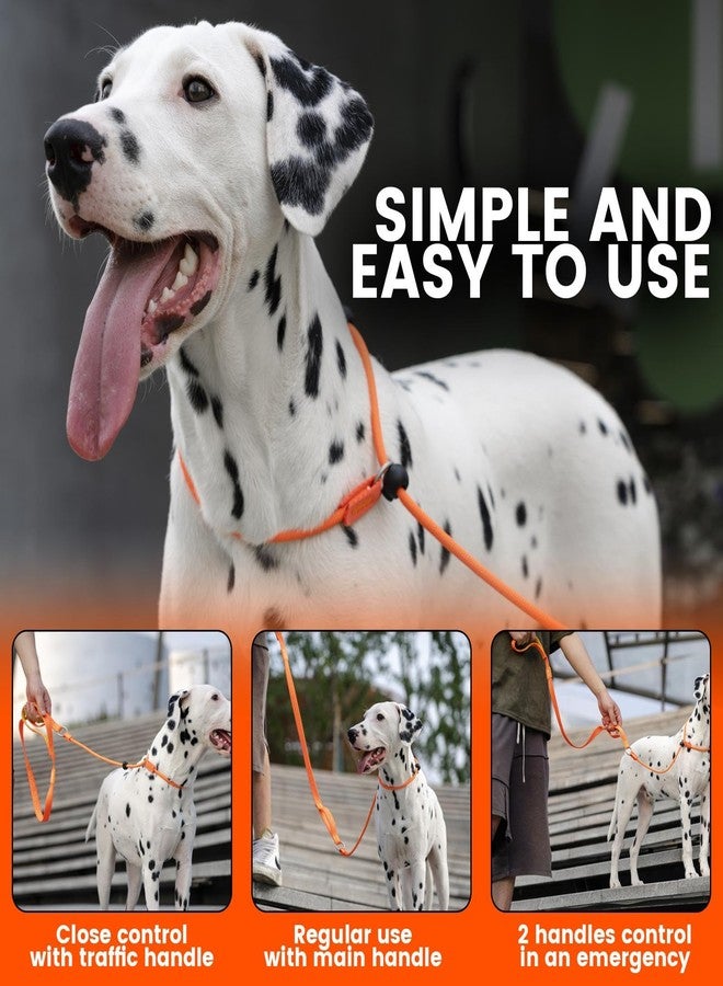 Howgo Dog Slip Lead Dog Leash, Training Leash, No-Pull Lightweight Slip Lead and Collar, Heavy Duty & Durable, Padded Handle, for All Breeds (Lavender, 5FT) - Image 2