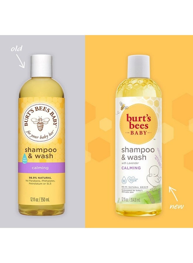 بيرتس بيز شامبو وغسول للأطفال من بيرتس بيز، مُهدئ، 12 أونصة (عبوة من 3 قطع) (قد تختلف العبوة) - Image 1