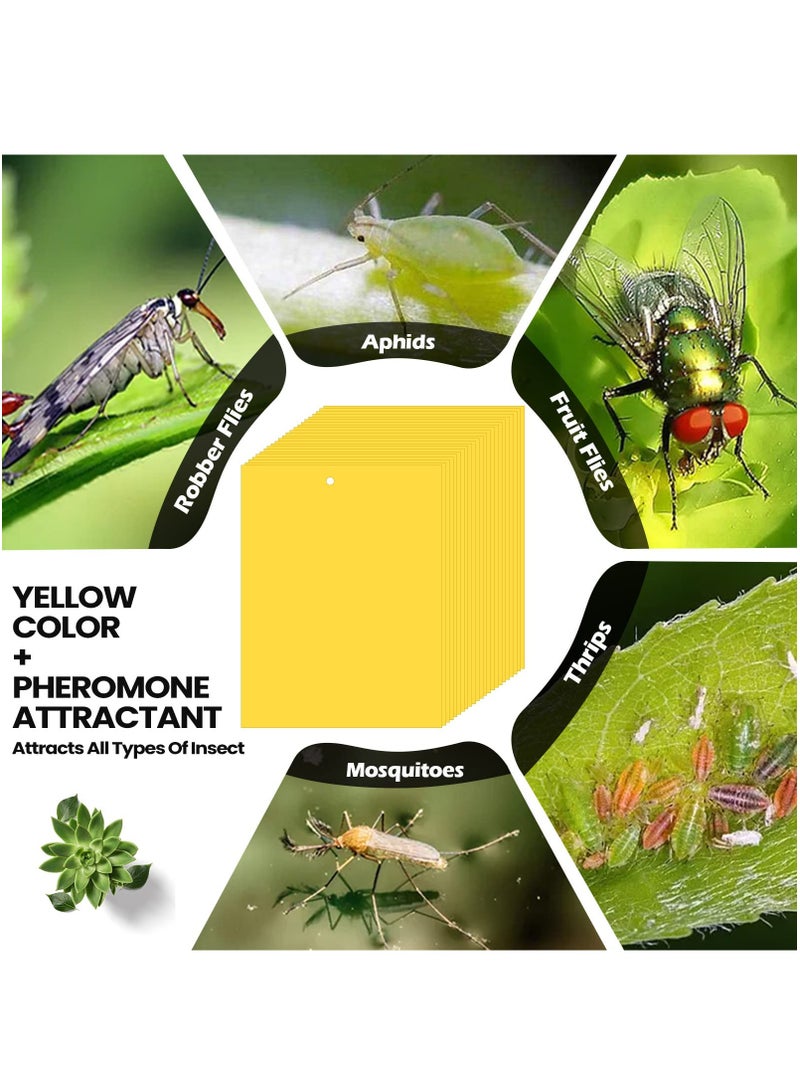 Generic 50 Pack Fruit Fly Trap, Yellow Sticky Gnat Traps Killer for Indoor/Outdoor Flying Plant Insect Like Fungus Gnats, Whiteflies, Aphids, Leaf Miners - 6x8 in, Twist Ties Included - Image 2
