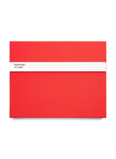 Pantone Creative Unlined Notebook with Pencil – Ideal for Ideas & Doodles – Orange