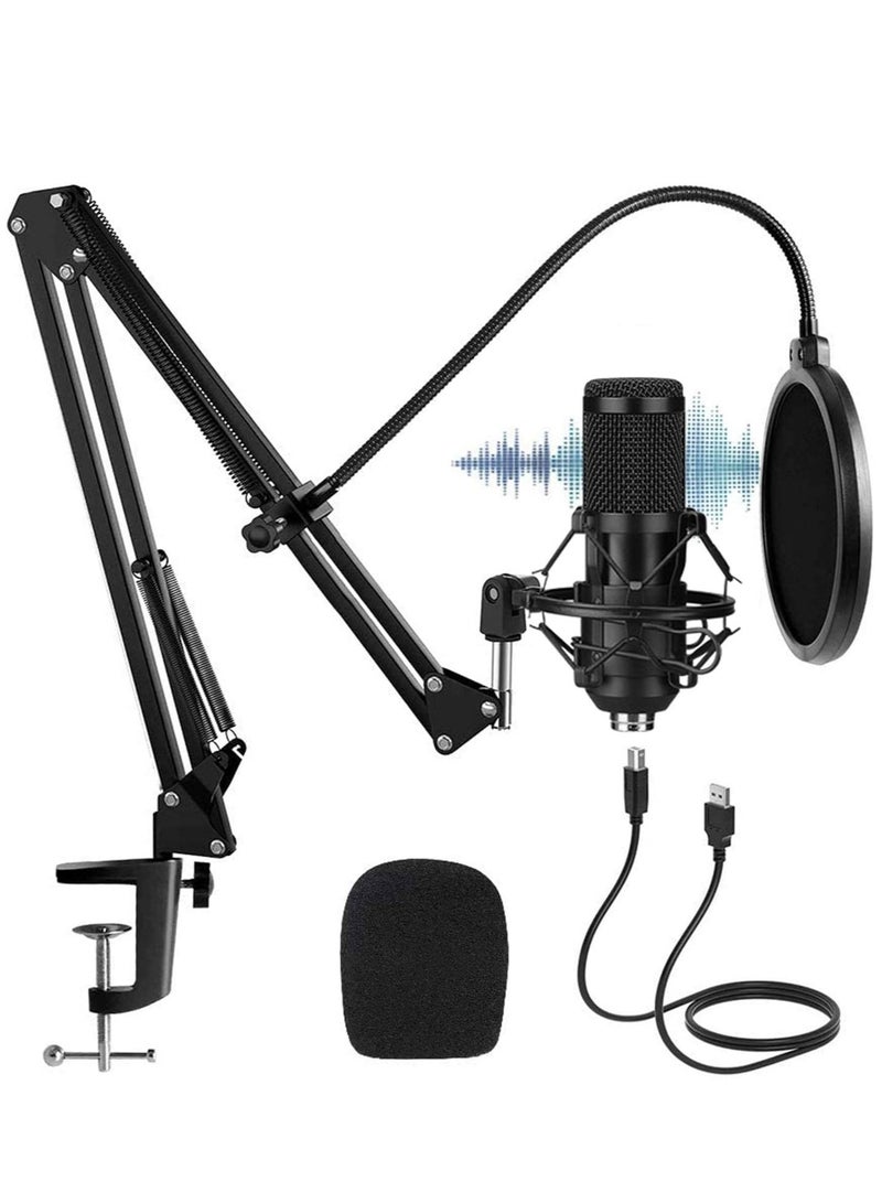 Professional Studio Mic Kit, USB Condenser Microphone with Adjustable Stand, 192KHZ/24BIT, PlugPlay, Professional Studio Podcast Microphone for Recording YouTube Gaming - Image 1