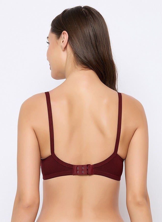 Clovia Clovia Pack of 3 Padded Non-Wired Full Cup T-shirt Bra - Cotton Lycra - Image 3