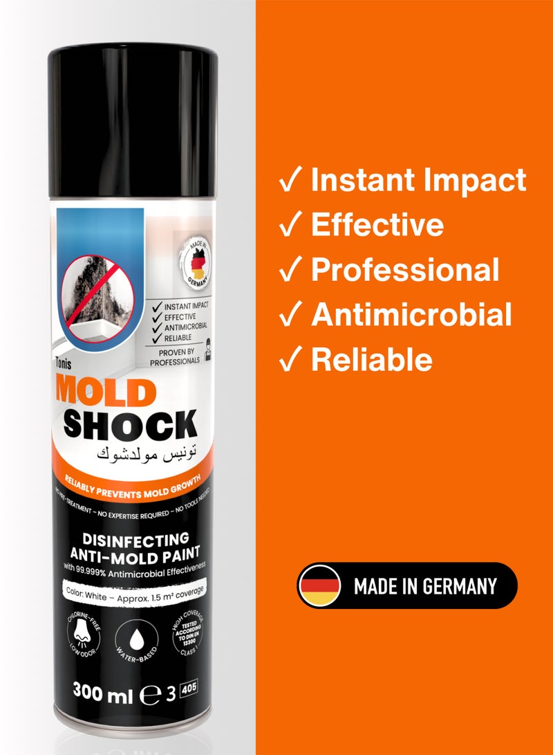 Moldshock Anti Mold Paint  - Image 2