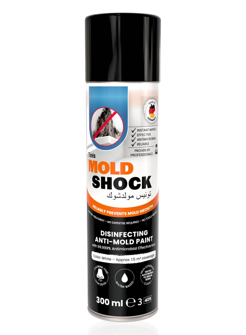 Moldshock Anti Mold Paint  - Image 1