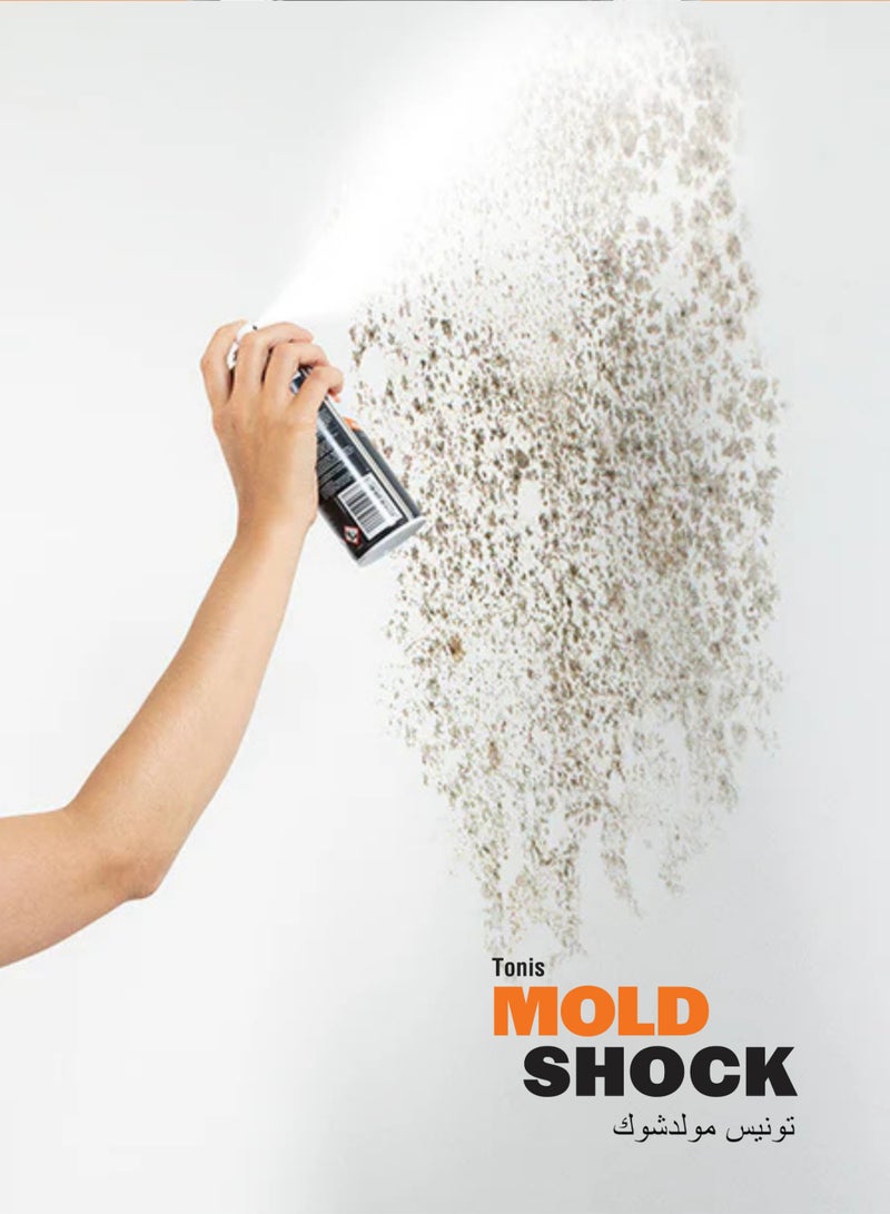Moldshock Anti Mold Paint  - Image 4